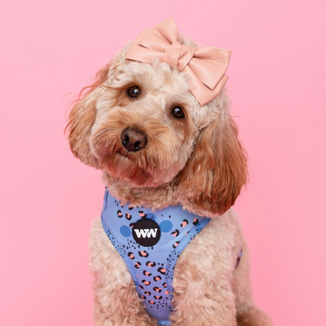 Wild Periwinkle Pup Pack Perfect Fit Adventure Ready Go Fetch Fun