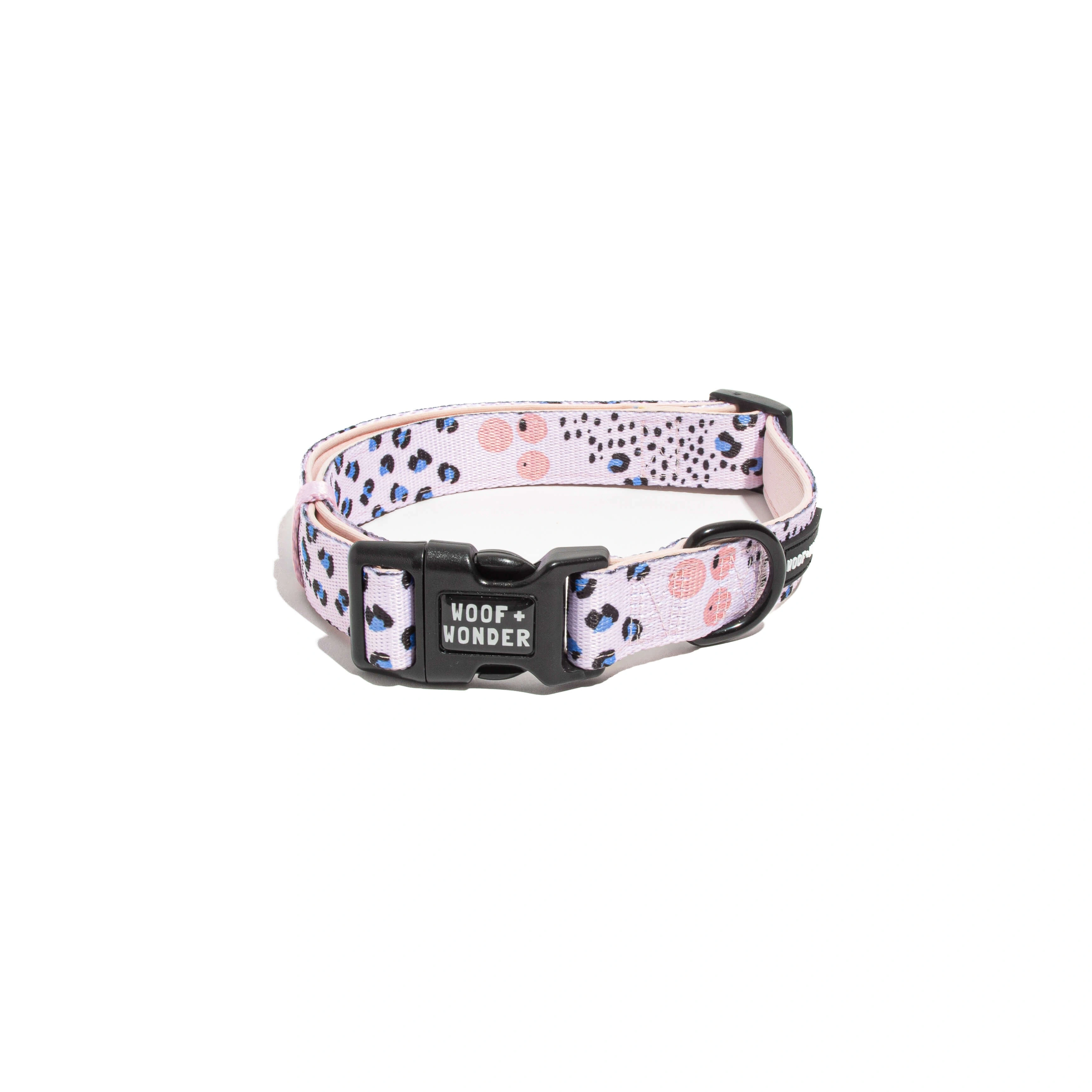 City Spots Comfort: Your New Favorite Collar