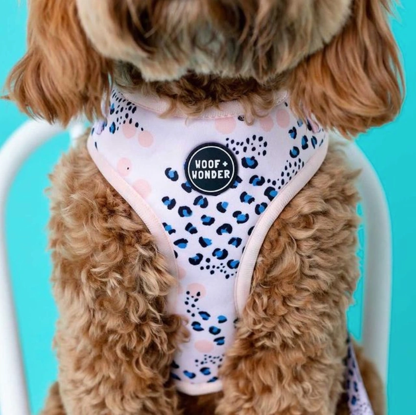 City Spotter Harness: Adventure Ready & Stylish Walkies