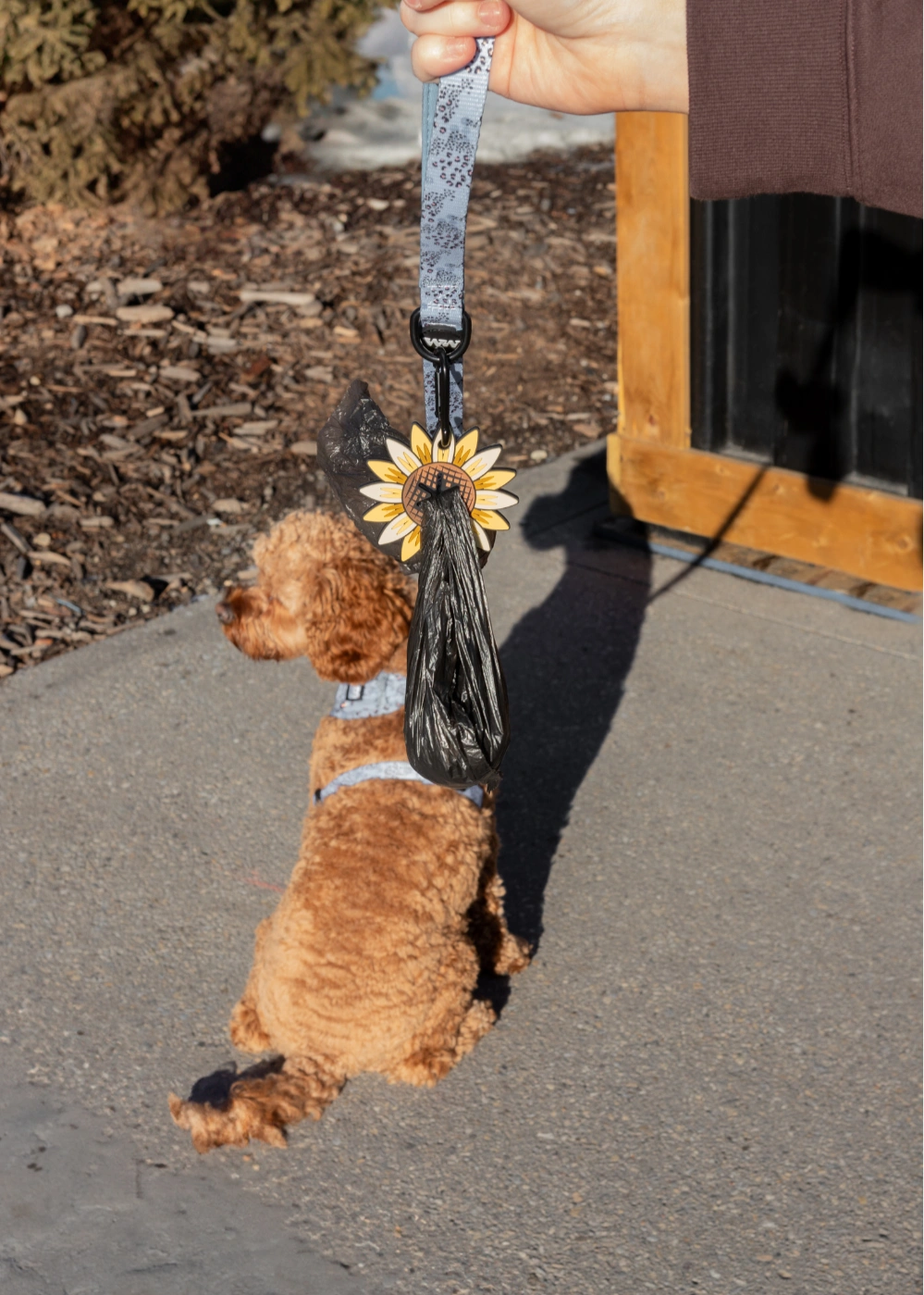 Sunflower Poopy Loop®: Groovy Sun-Kissed Goodness! Get Your Smile On, Dude!